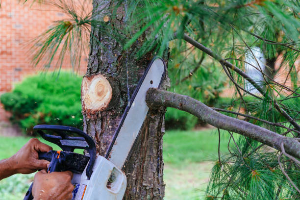 Best Hazardous Tree Removal  in Monrovia, MD